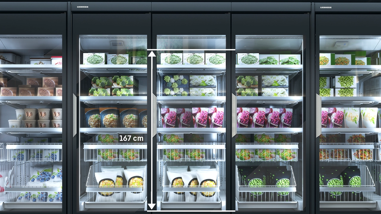 ⚠️苅谷ページ CLIFF 234 (-) ma Supermarket freezer - Liebherr